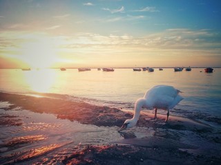 Sunset on the Baltic Sea