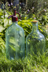 Bottles on the grass 