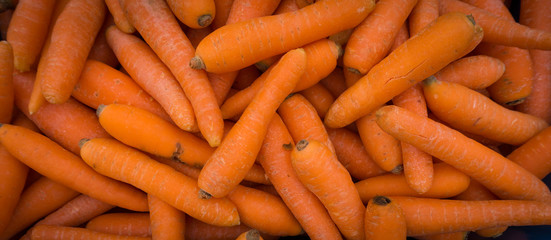 Organic carrot.Carrots. Fresh organic carrots. Background textur