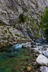 mountain river. Nature composition.  landscape with mountains tr