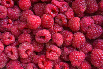 raspberries background