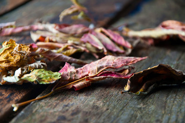 Background with leaves on the old wooden table