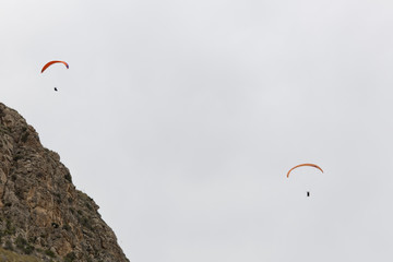 People doing paragliding