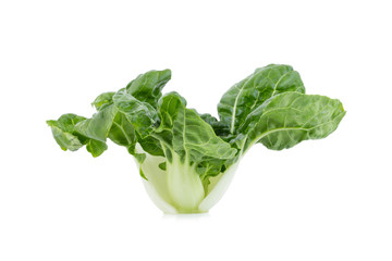 Baby pak choi on a white background