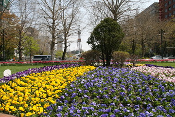 Spring of Odori Park
