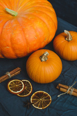 still life of pumpkins