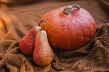 Still life with pumpkin and autumn seasonal vegetables and fruits. Autumn background.
