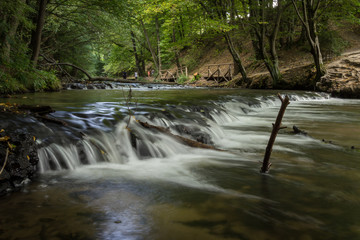 Szumy na Tanwi (Cascades on Tanew River) - nature reserve in Roztocze, Poland - 119749902