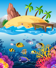 Fototapeta na wymiar Fish swimming underwater and island
