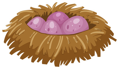 Four purple eggs in the nest