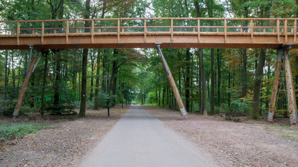 Baumwipfelpfad an der Saarschleife. 