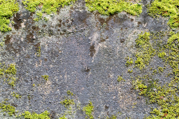 white concrete wall texture