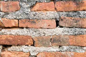 Obraz premium Moldy brick wall background