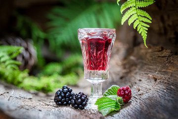 Homemade liqueur made of alcohol and blackberries