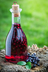 Fresh liqueur in a bottle with blueberries and alcohol