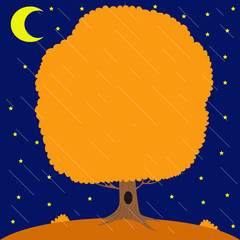 Autumn tree under the rain in the night star sky and month