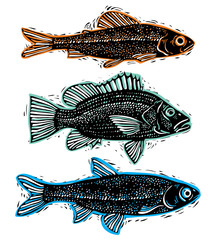 Naklejka premium Set of vector drawn fishes, different underwater species. Organi