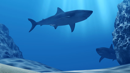 Fototapeta premium Flock of sharks underwater with sun rays and stones in deep blue sea