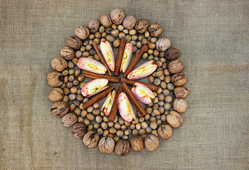Nuts and Walnuts with Apple Pieces and Cinnamon Rollson Textile Texture- Food Still Life