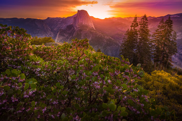 Yosemite National Park Sunrise Glacier Point