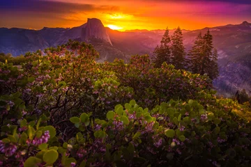 Foto op Canvas Yosemite National Park Sunrise Glacier Point © Krzysztof Wiktor