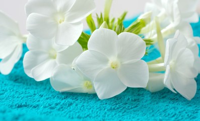 Fototapeta na wymiar Türkises Handtuch mit weißen Blüten