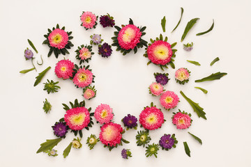 Top view of beautiful colorful flowers on white background