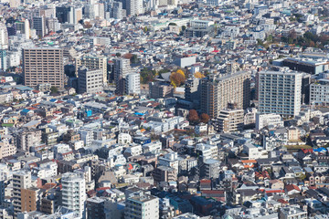 Aerial view Tokyo city residence downtown, Japan