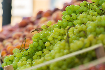 Frische Weintrauben in einer Auslage beim Obsthändler Gemüsehändler