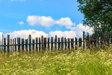 Fototapeta na wymiar Landscape with an old fence