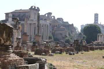 Fototapeta na wymiar Vue du Forum antique à Rome