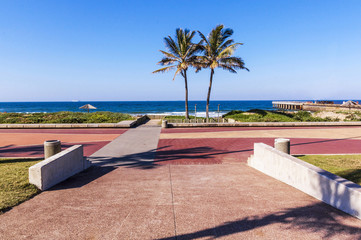Two Palm Trees and Paving Leading into Durban Beach
