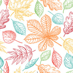 Naklejki  Bezszwowe wektor wzór z kolorowych liści jesienią. Ręcznie rysowane
