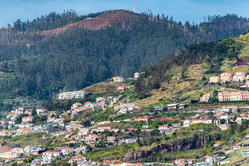 Fototapeta na wymiar Panoramic view of tranquil hillside on Madeira Island Portugal. Landscape view, dotted with tropical foliage and Mediterranean style buildings on a bright summer day, image for travel business concept