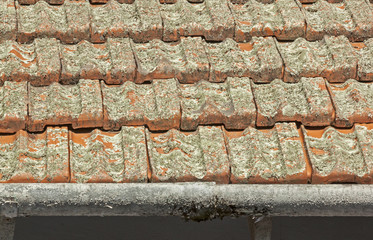 Clay Roof Tiles Covered in Lichen with Peeling Gutters