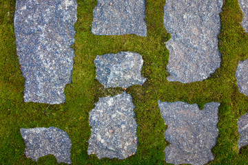 Stone and moss background