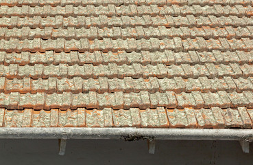 Clay Roof Tiles Covered in Lichen with Peeling Gutters