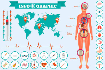 Medical anatomy a womens body infographics