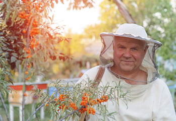 portrait of a beekeeper on apiary