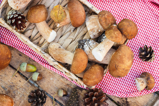 Full tray of raw white mushrooms