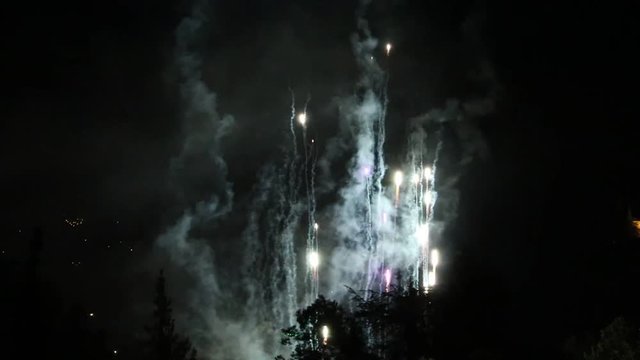 Fireworks exploding in the night sky