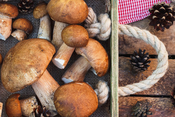 Full tray of raw white mushrooms