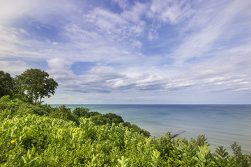 LOOKING OVER THE HORIZON