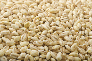 Group of Pearl barley close up on the white