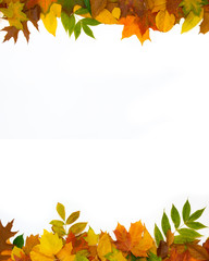 Autumn decoration made of leaves on a white background. Frame four-fifths.