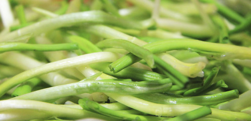 Fresh harvest of spring ramson or wild leek stems