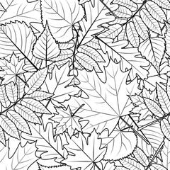 Vector autumn leaves seamless pattern. Black and white background with outline hand drawn leaves. Design for fabric, textile print, wrapping paper or coloring book.