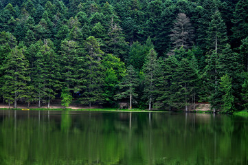 Fototapeta na wymiar gölcük gölü