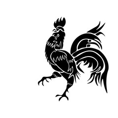 Black rooster on white background
