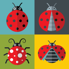 Ladybug icons in flat style on color background